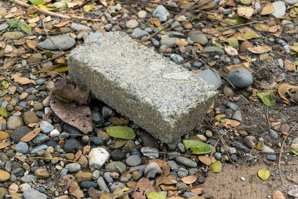 Concrete bricks on top of pebbles and fallen leaves in the middle of a city park construction close up