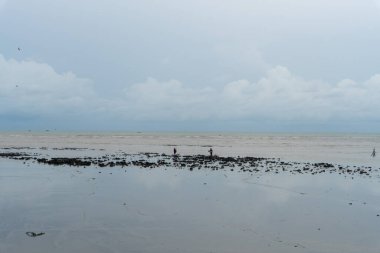 View of the white sand beach in nature landscape