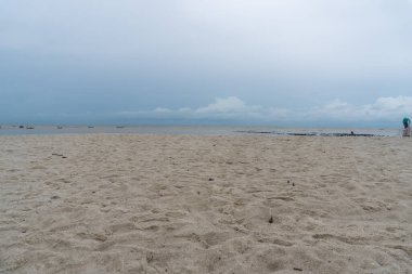 View of the white sand beach in nature landscape