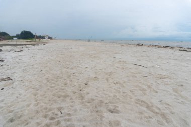 Seafront view with white sandy beaches in the middle of nature landscape