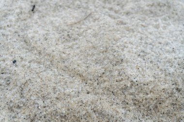 seafront white sandy beach in the middle of nature close up