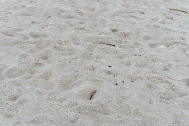 seafront white sandy beach in the middle of nature close up
