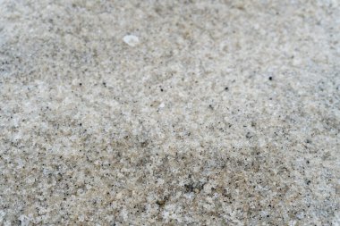 seafront white sandy beach in the middle of nature close up