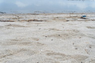 seafront white sandy beach in the middle of nature close up