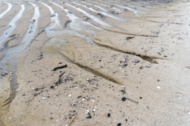 erosion on the seafront of a white sandy beach that is on the ebb in the middle of nature landscape