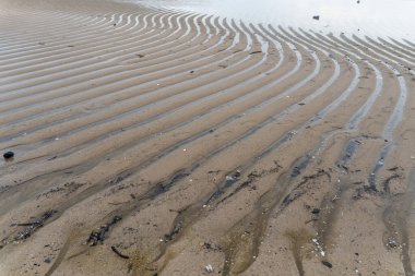 erosion on the seafront of a white sandy beach that is on the ebb in the middle of nature landscape