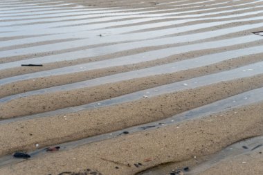 erosion on the seafront of a white sandy beach that is on the ebb in the middle of nature landscape