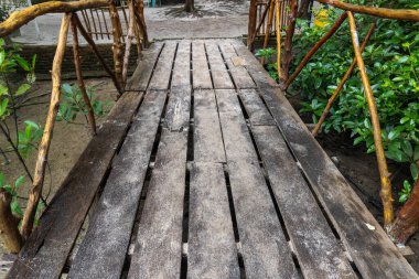 wooden bridge in the middle of mangrove beach in nature landscape