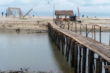wooden bridge in the middle of mangrove beach in nature landscape