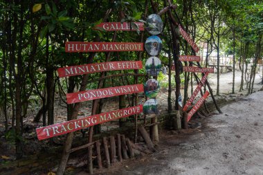 natural tourism mangrove forest on the edge of the white sand beach landscape