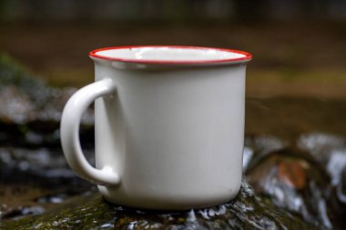 White mug, mock up, empty space for artwork, text, standing on stone, outdoors, green grass, trees, sky in the background, soft sunlight, nature