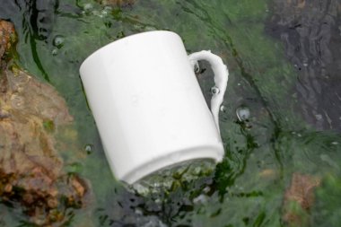 White mug, mock up, empty space for artwork, text, standing on stone, outdoors, green grass, trees, sky in the background, soft sunlight, nature