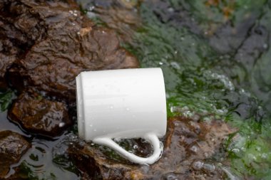 White mug, mock up, empty space for artwork, text, standing on stone, outdoors, green grass, trees, sky in the background, soft sunlight, nature