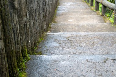 old mossy stairs path in the middle of green nature landscape