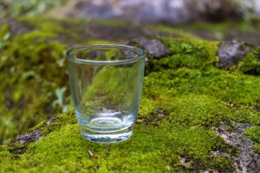 Clear small drinking glass in the middle of green nature landscape