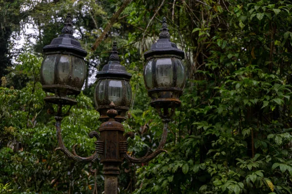 Abandoned old vintage street light in the middle of green nature landscape