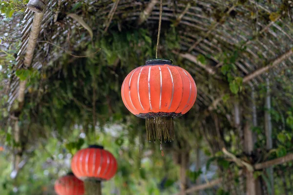 chinese lanterns among green leaves in the middle of nature