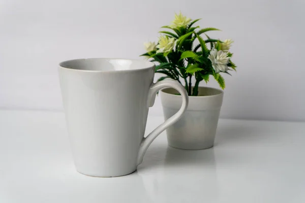 Planta Interior Vaso Com Folhas Frescas — Fotografia de Stock