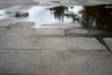 Asfalt üzerinde yağmurla ıslanmış şehir caddesi ve zeminde volta atan patikalar.
