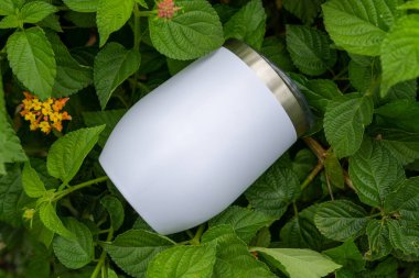 Beyaz Şarap Tumbler Kupası Doğa Arkaplanı Yapımı