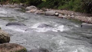 Doğadaki kayalar arasında akan nehir suyu.