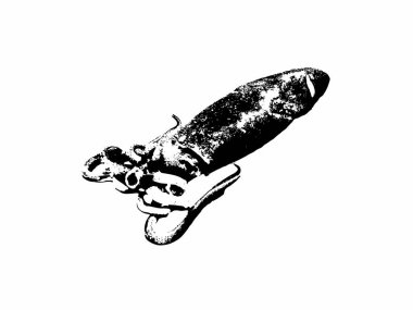 Kalamar, balık koleksiyonu. Sağlıklı yaşam tarzı, lezzetli yemekler. El çizimi resimler, siyah beyaz grafikler.