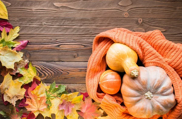 Hallowen balkabakları kefenlendi
