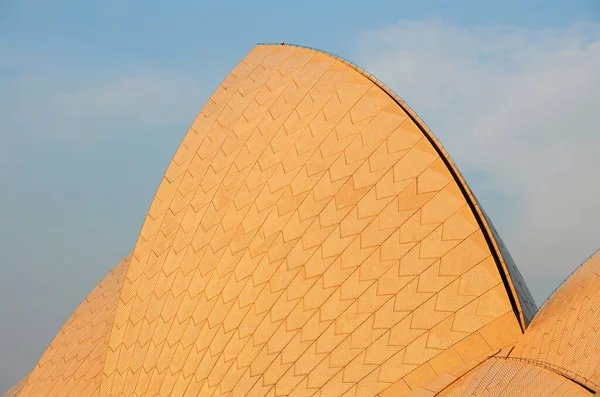 シドニー ニューサウスウェールズ州 オーストラリア セラミックタイルとシドニーオペラハウスの屋根の詳細 シドニーのオペラハウス — ストック写真