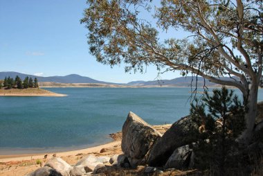 Jindabyne, New South Wales, Avustralya: Ön planda bir ağaç ve kayalarla Jindabyne Gölü 'ne bakın. Jindabyne, Karlı Dağlar yakınlarında bir turizm merkezidir..