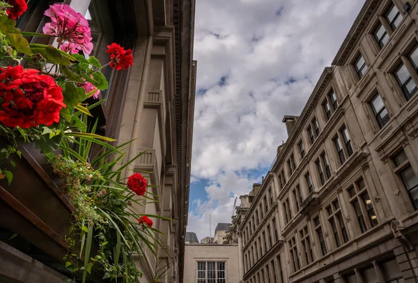 Λονδίνο Ηνωμένο Βασίλειο Κόκκινα Και Ροζ Λουλούδια Ένα Κουτί Λουλούδια — Φωτογραφία Αρχείου