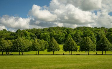 Reigate, Surrey, UK: Reigate 'deki Priory Park halkı. Bu halk parkı Reigate şehir merkezine yakındır ve ormanlık, çim alanları, bir göl ve ziyaretçi tesislerine sahiptir..