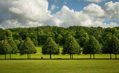İngiltere, Surrey, Reigate 'deki Priory Park. Bu halk parkı Reigate şehir merkezine yakındır ve ormanlık, çim alanları, bir göl ve ziyaretçi tesislerine sahiptir..