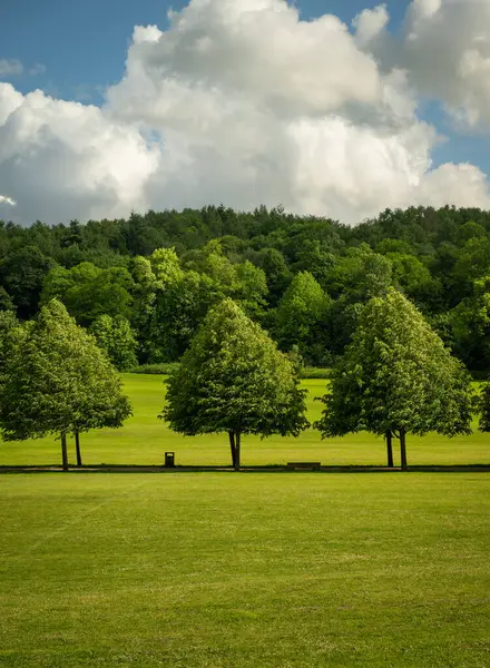 İngiltere, Surrey, Reigate 'deki Priory Park. Bu halk parkı Reigate şehir merkezine yakındır ve ormanlık, çim alanları, bir göl ve ziyaretçi tesislerine sahiptir..