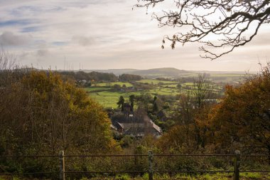 Shaftesbury yakınlarındaki İngiliz kırsal manzarası, tarlaları, ağaçları, tepeleri ve bir çiftliği olan Dorset..