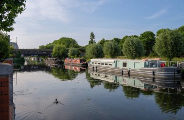 Hackney Wick, Londra, İngiltere: Doğu Londra 'daki Hackney Wick kanalında bulunan Lee Nehri üzerindeki tekneler (navigasyon). Bir ördek (Fulica atra) ön planda suyun üzerinde yüzüyor..