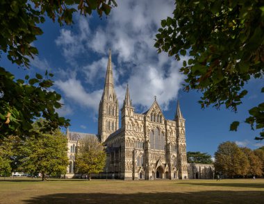 Salisbury, Wiltshire, İngiltere: Salisbury Katedrali 'nin dışı, öğleden sonra ağaçların çerçevelediği güneş ışığını gösteriyor.