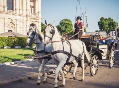 Viyana, Avusturya - Haziran 2022: At arabasıyla gezilen turistler. Viyana 'da turizm faaliyetleri