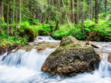 Ormandaki kayalar ve yeşil yapraklar arasında akarsu gibi akıyor..