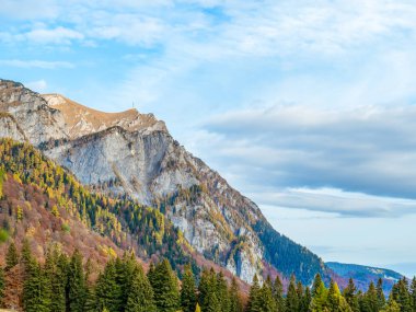 Colorful autumn landscape in the Carpathian Mountains, Romania. Autumn forest scenery in Bucegi Mountains.