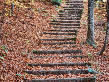 Cobblestone hiking path called Royal Path (Poteca Regala) in Sinaia, Romania. Autumn landscape in Carpathian Mountains. Stone steps in the woods.