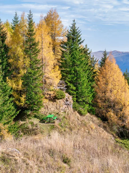 Colorful autumn landscape in the Carpathian Mountains, Romania. Autumn forest scenery in Bucegi Mountains.