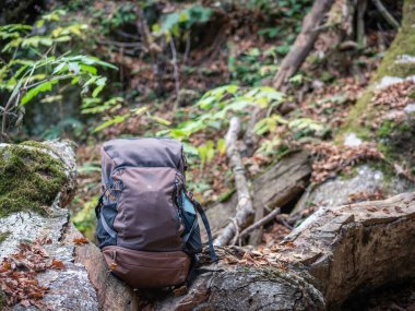 Outdoor backpack next to a tree trunk with green moss in the forest. Hiking excursion concept,