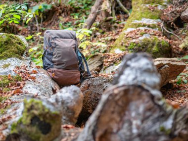 Outdoor backpack next to a tree trunk with green moss in the forest. Hiking excursion concept,