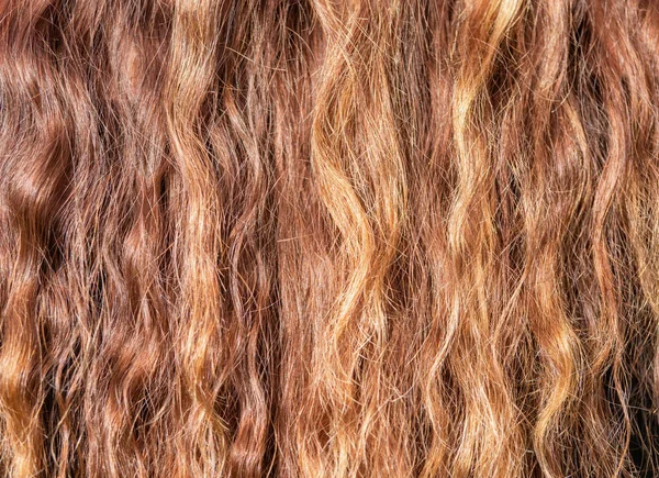 Fond Texture Brun Clair Cheveux Longs Image En Vente