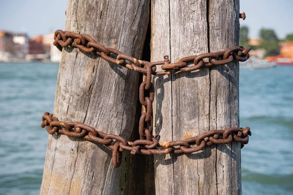 stock image Vertical thick wooden posts called bricole (Venice bricola) on the Grand Canal in Venice. Close up detail.