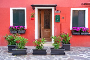 İtalya, Burano 'da bir sürü çiçek saksısı olan renkli bir evin girişi..