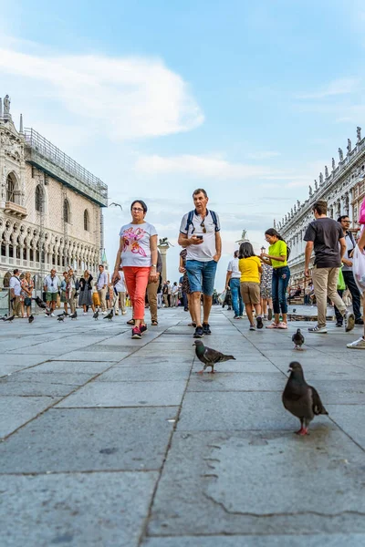 Венеция Италия Мая 2023 Года Вид Площади Святого Марка Базиликой — стоковое фото