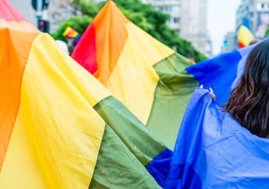 Bükreş 'teki Onur Yürüyüşü mitinginde LGBTQ gökkuşağı bayrağı