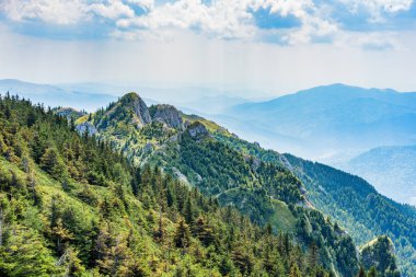 Romanya 'daki Karpat Dağları' nın bir parçası olan Ciucas Dağları 'nın güzel manzarası.
