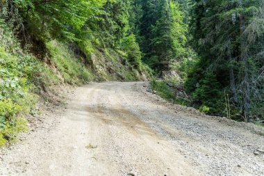 Romanya dağlarında boş çakıl orman yolu.